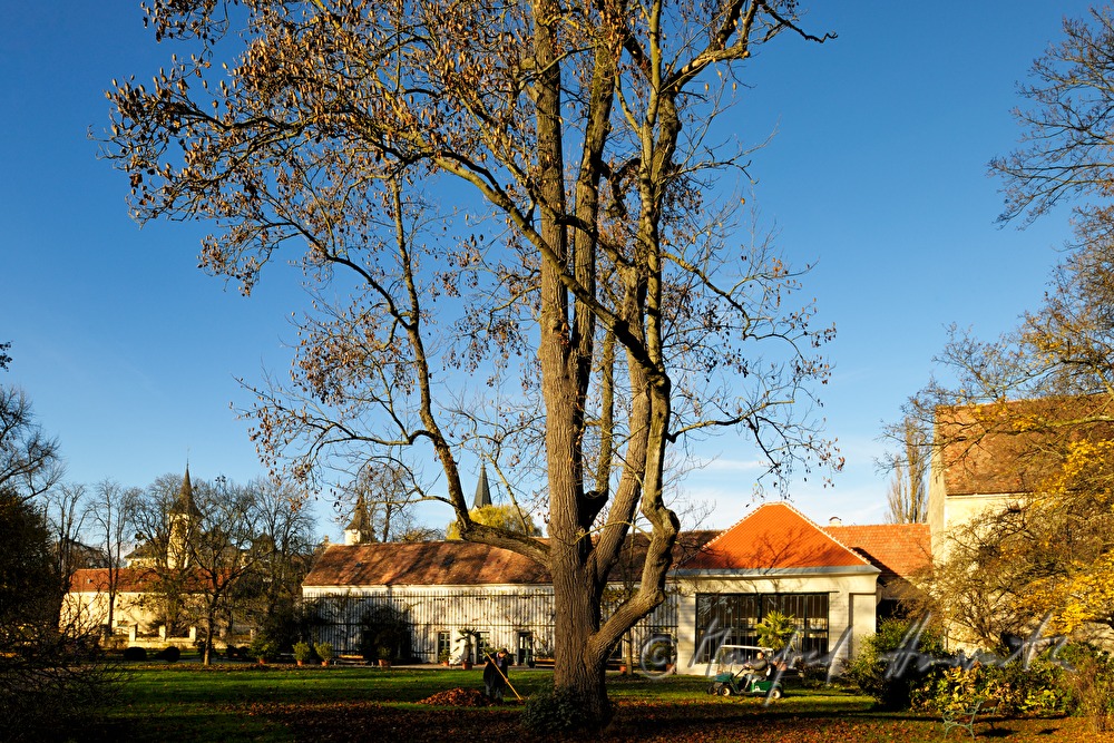 Gartenarbeit im Schaugarten der Gudenus'schen Gutsverwaltung