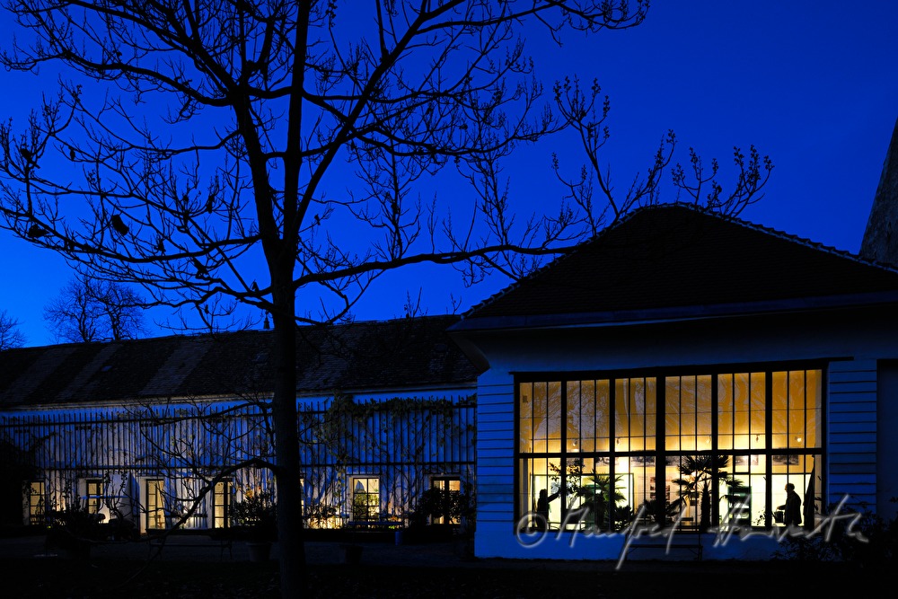 Wässern der Pflanzen in der Orangerie von Schloss Mühlbach