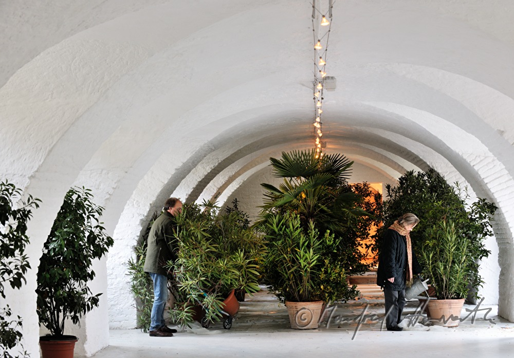 Wässern der Pflanzen in der Orangerie von Schloss Mühlbach