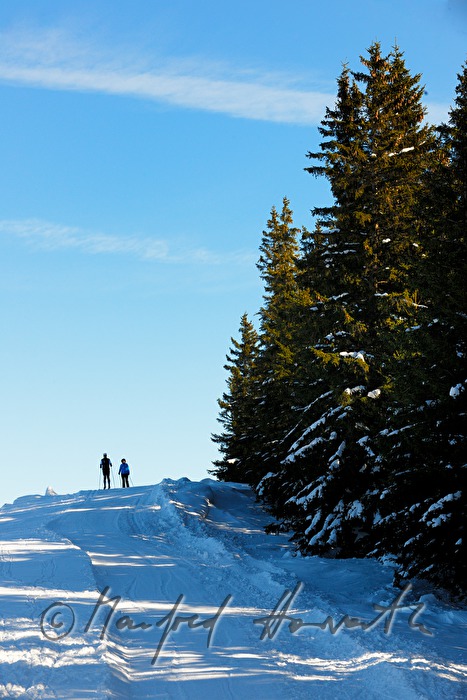 Panoramaloipe Wechsel - Semmering