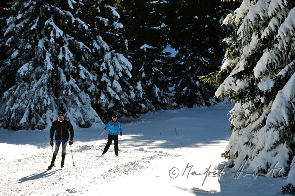 Panoramaloipe Wechsel - Semmering