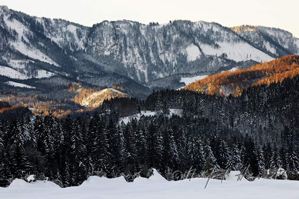 Blick von Annaberg zu den Ötschergräben