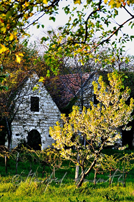 Weinkeller bei der Bärenhöhle