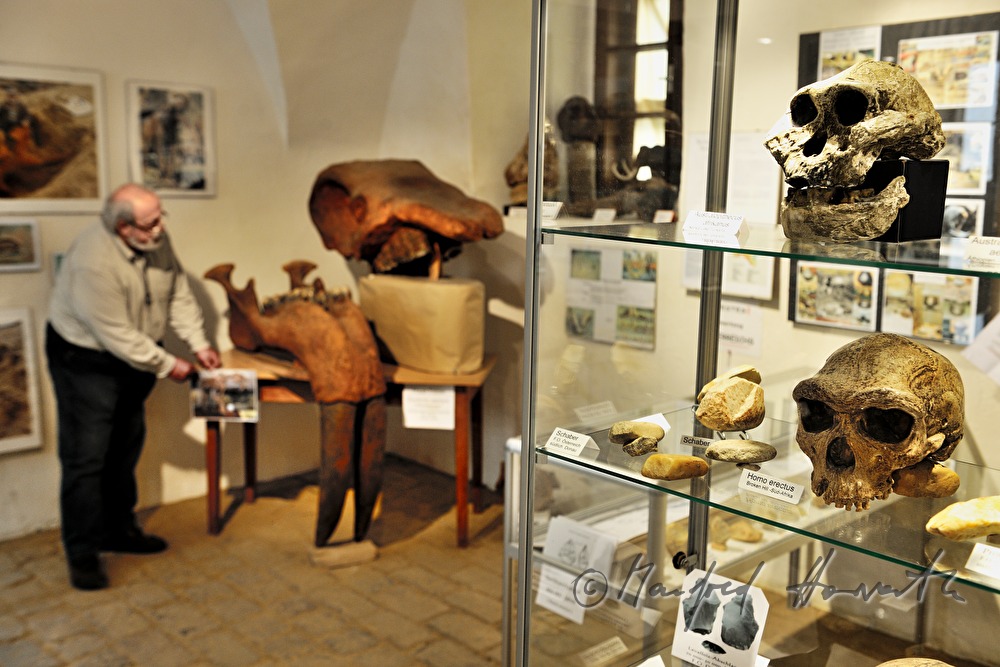 Archäologie- und Paläontologie-Ausstellung im Schloss Dürnkrut