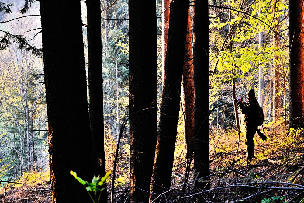 Jäger beobachtet das Wild am Morgen