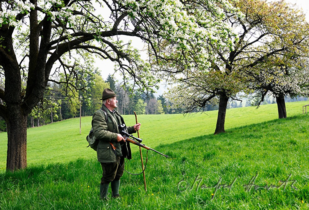 Jäger beobachtet das Wild in einer Obstplantage