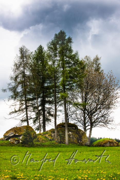verstreute Granit-Findlinge am Rand eines Feldes