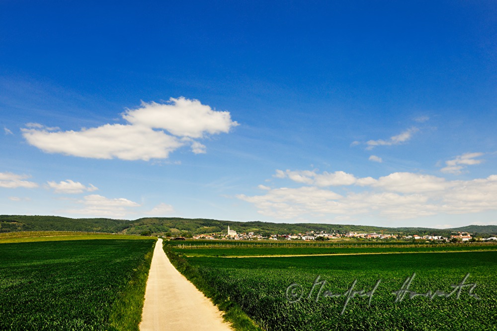 Blick vom Süden nach Kleinhöflein