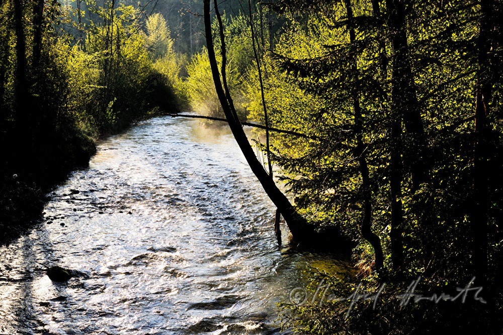 Toplitzbach dampft bei Tagesanbruch