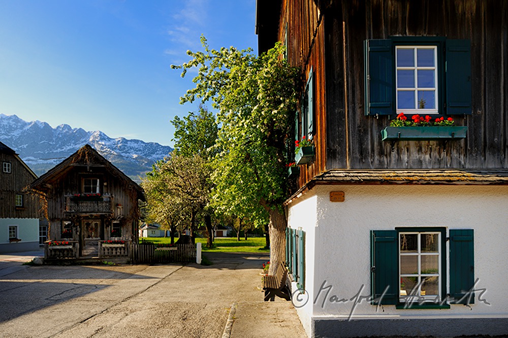 Bauernhaus mit Birnenbaum und Getreidespeicher