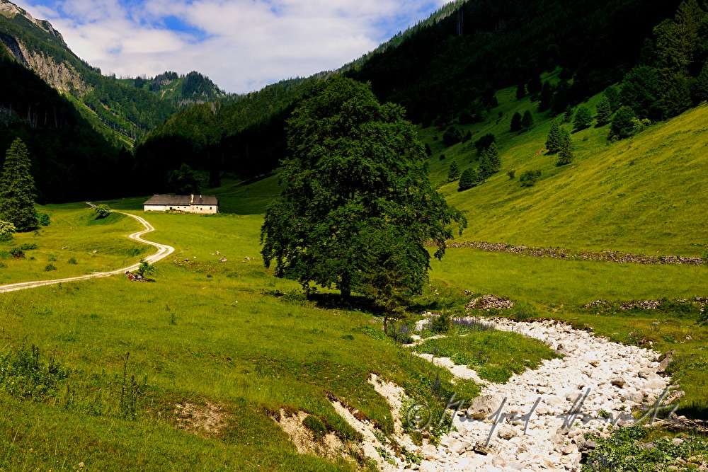 Kalkalpenweg vom Bodinggraben zur Schaumbergalm