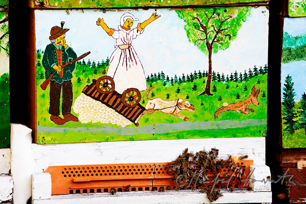 bunt bemalte Bienenstöcke und Carnica Bienen