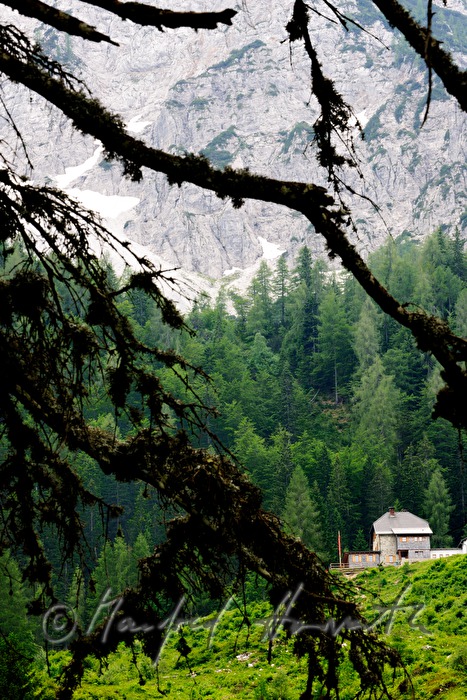 Koschuta Hütte am Fuß des Gebirgsstockes Koschuta