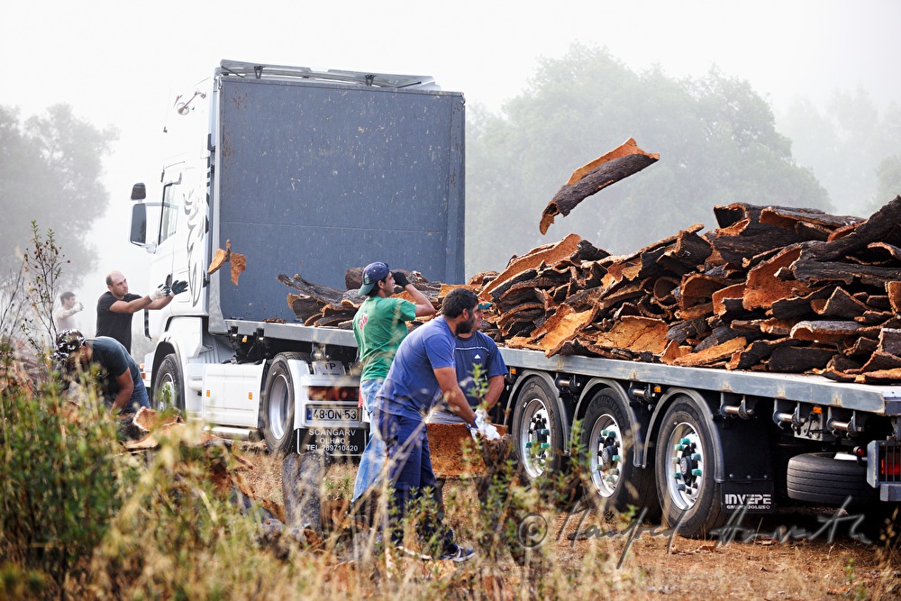 Beladen eines LKW mit Kork-Rinde