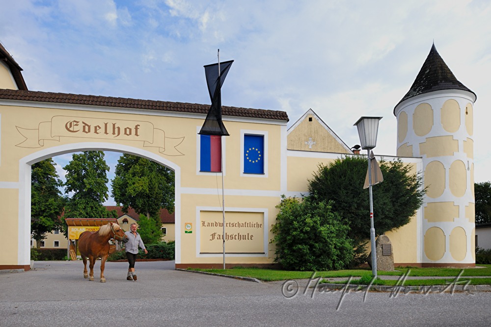 Arbeitspferd und Forstarbeiter vor dem Gutshof (Landwirtschaftliche Fachschule)