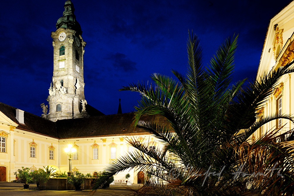 Innenhof mit Stiftskirche und Palme