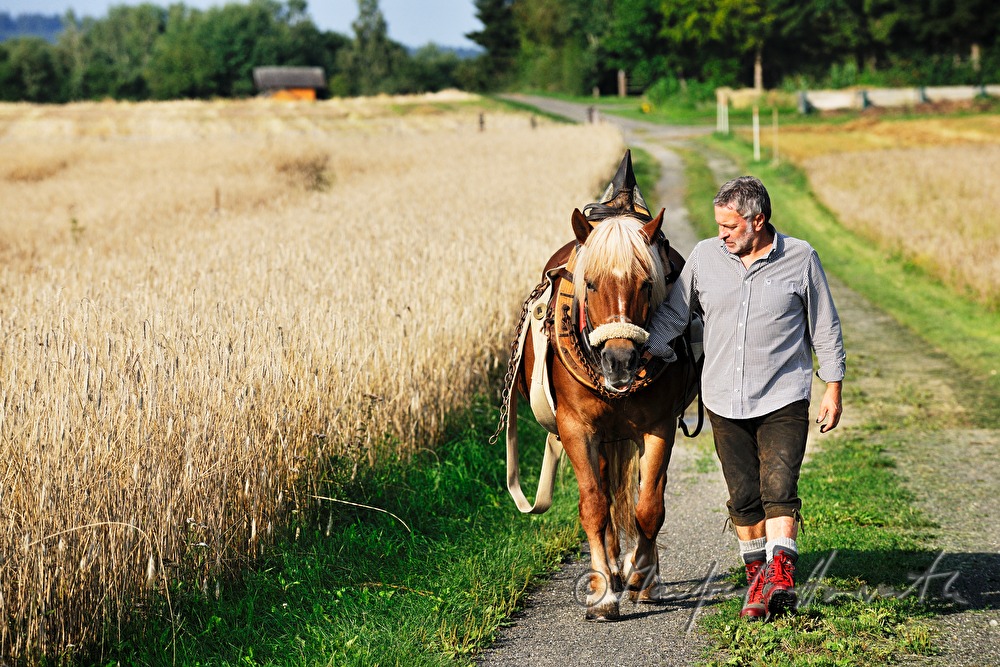 Holzarbeiter mit Arbeitspferd auf dem Weg in den Wald