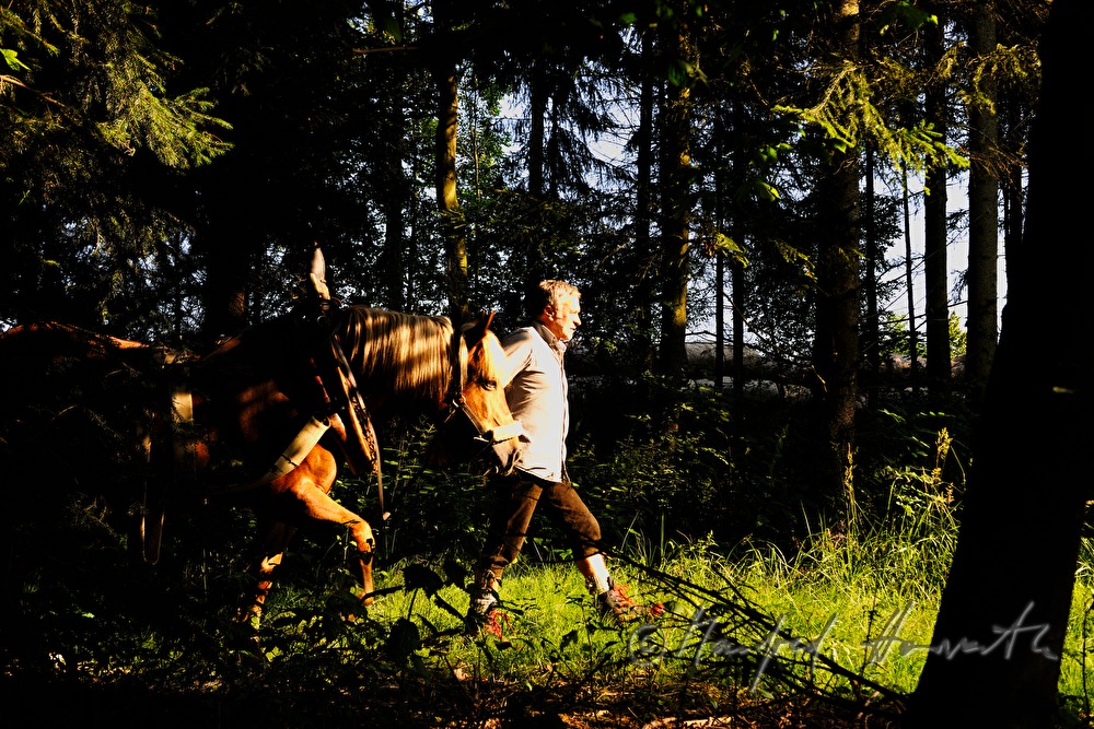 Holzarbeiter mit Arbeitspferd auf dem Weg in den Wald