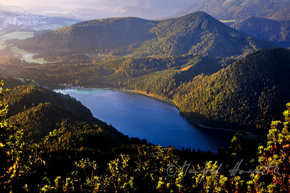 Blick von der Gemeindealpe zum Erlaufsee