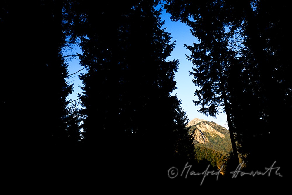 Blick vom Alpenhotel Gösing Richtung Westen