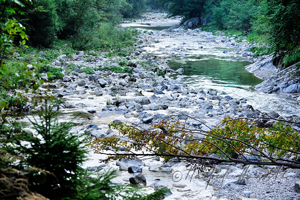 Flussbett der Erlauf in den Hinteren Tormäuern