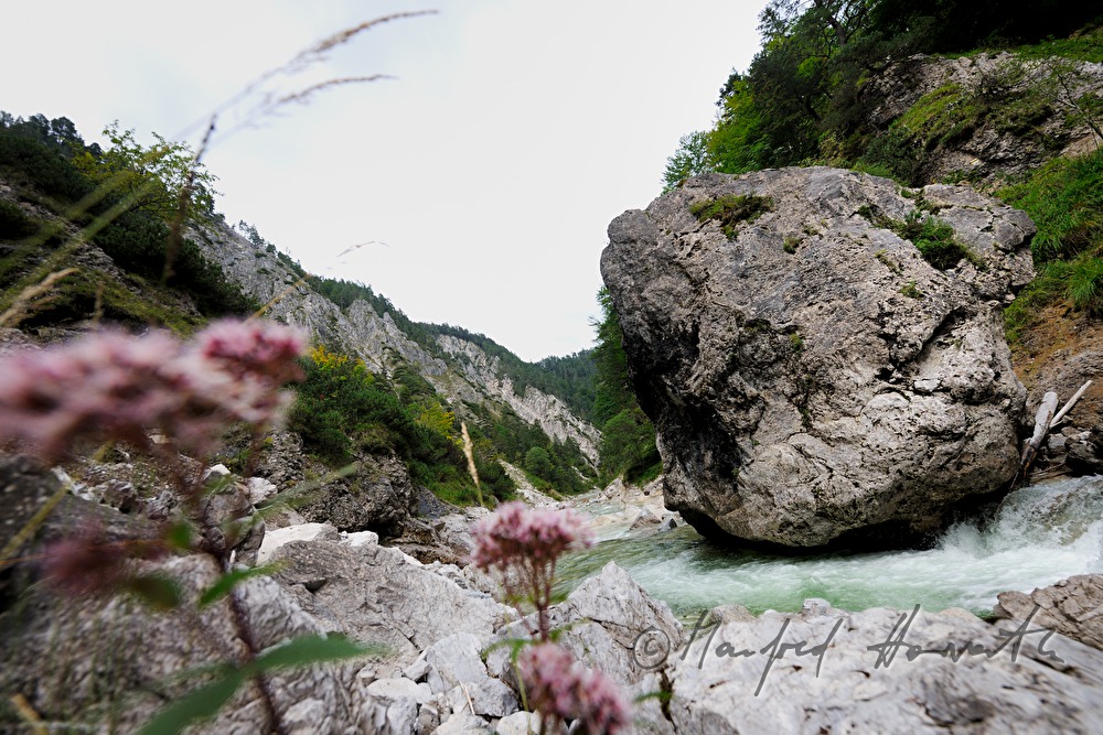 Flussbett der Erlauf in den Hinteren Tormäuern