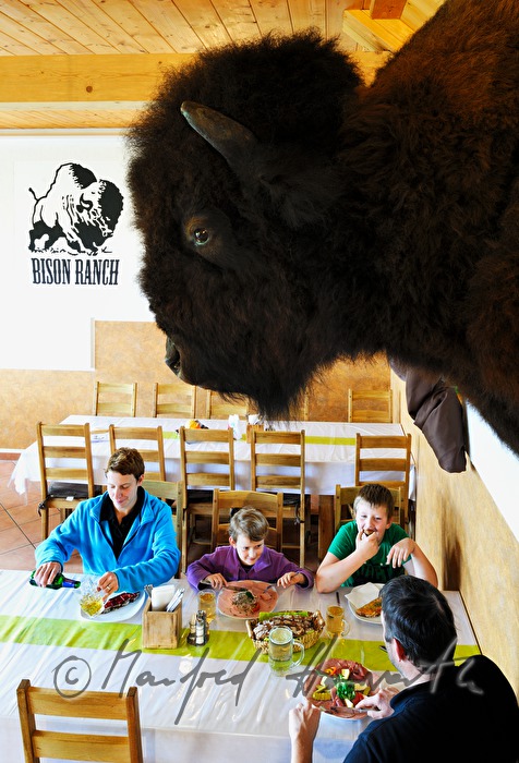 Bison-Bauern-Familie Baumgartner beim Essen in ihrem Lokal