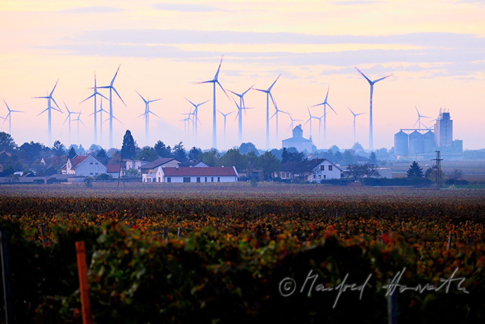 Windkraftanlage im Morgennebel