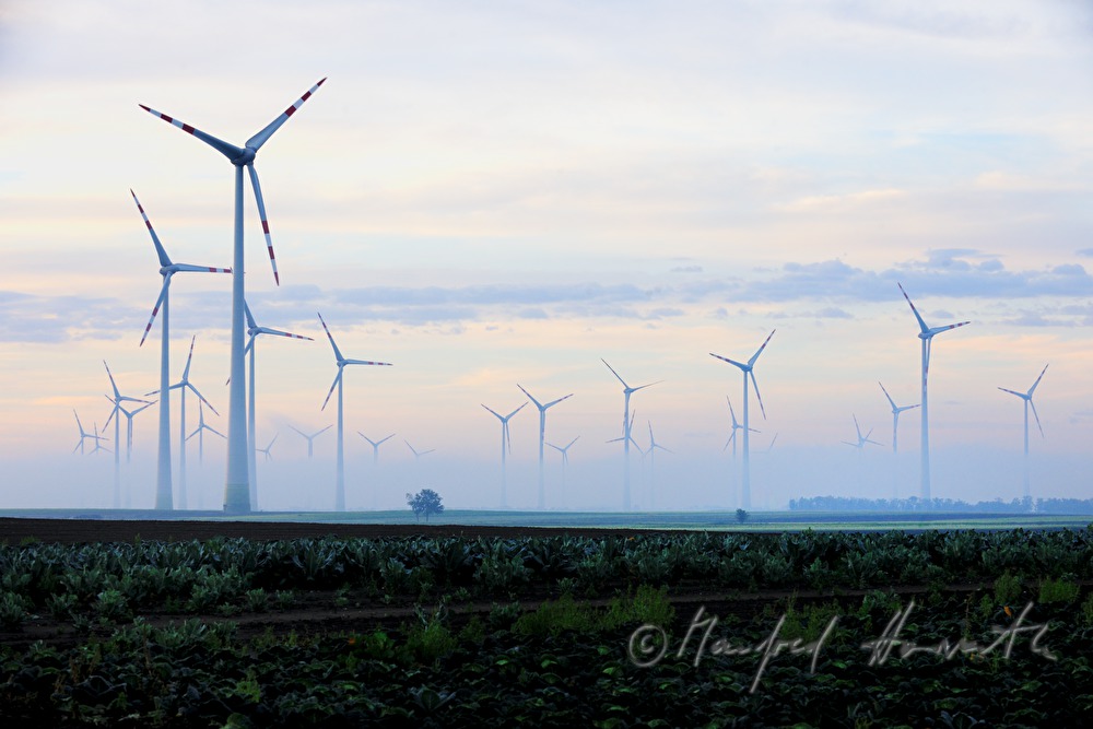 Windkraftanlage im Morgennebel