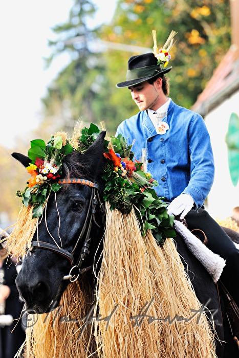 Reiter beim Erntedankfest 