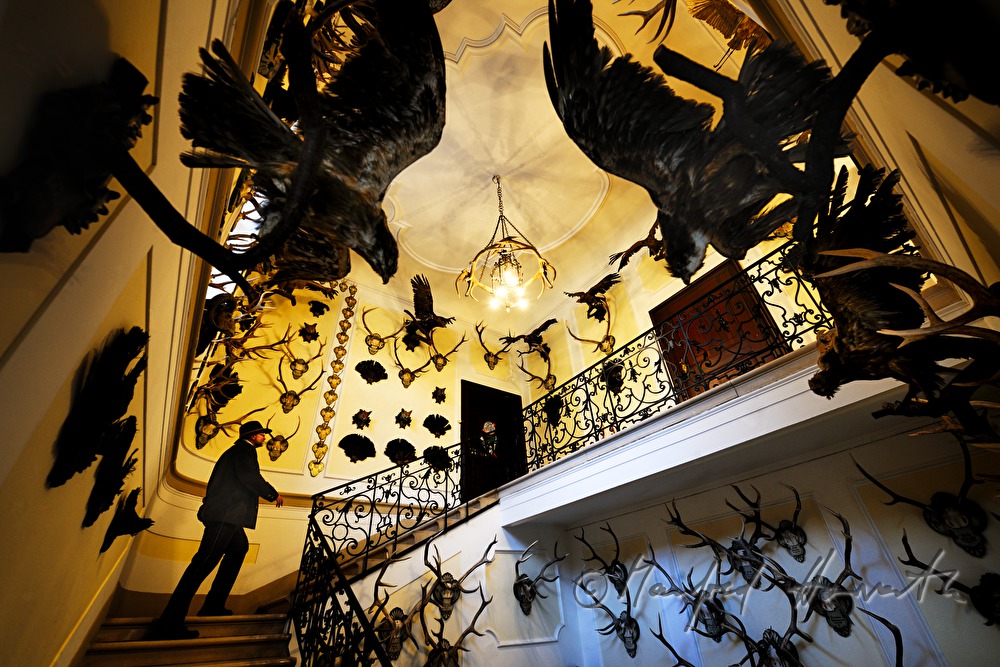 Jäger im Treppenhaus des Kaiserlichen Jagdschloss Eckartsau