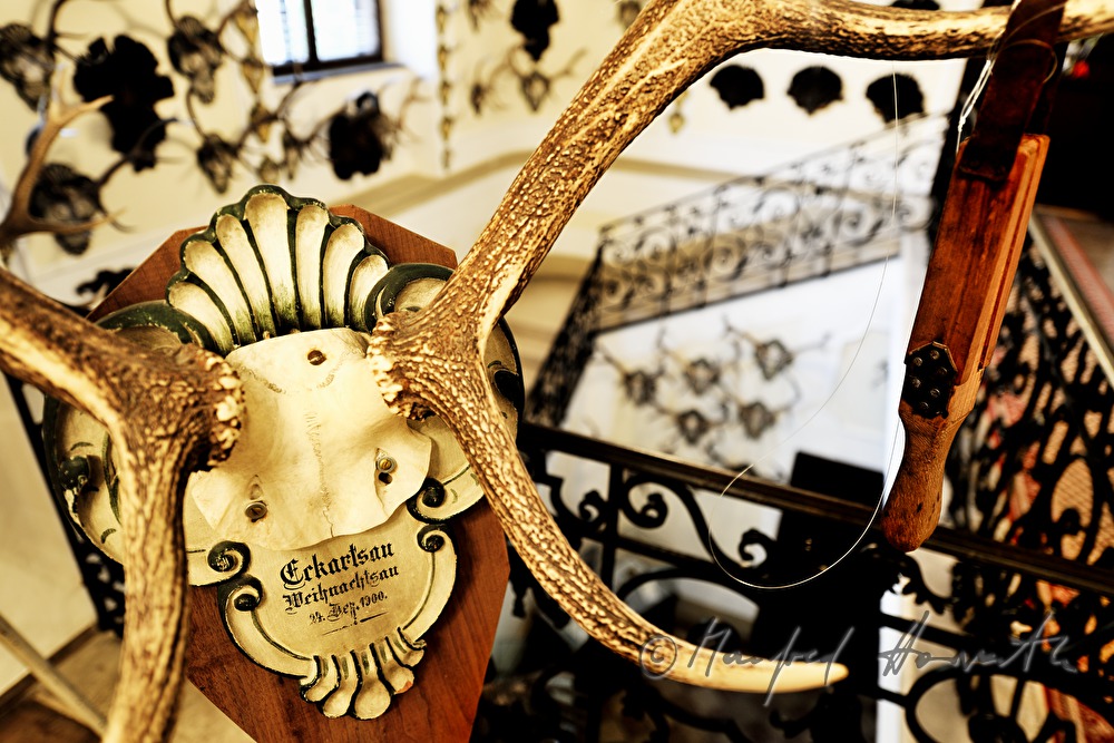 Treppenhaus des Kaiserlichen Jagdschloss Eckartsau