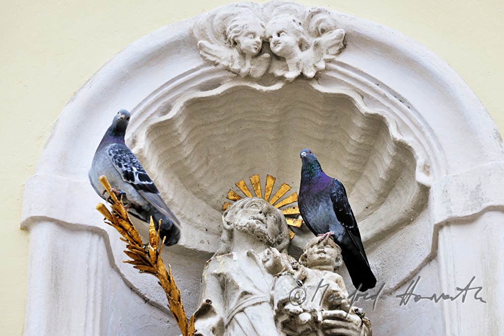 Barockstatue in einer Nische des Orgelbauerhauses