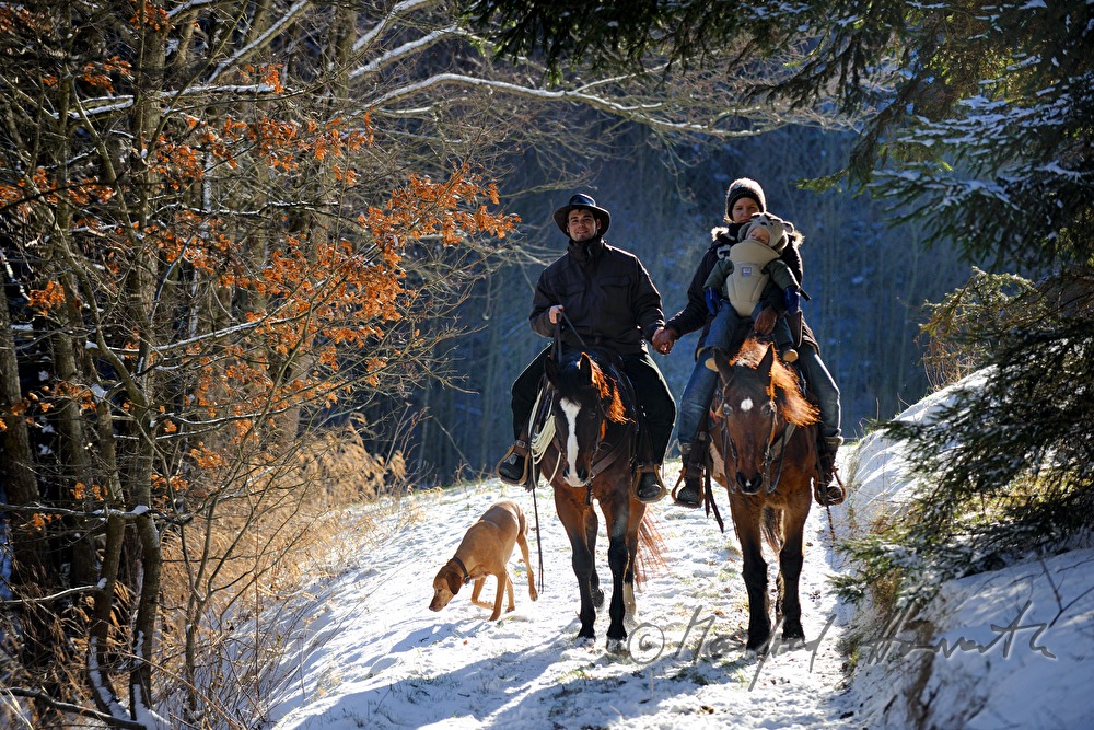 Western Reiter an einer Waldlichtung