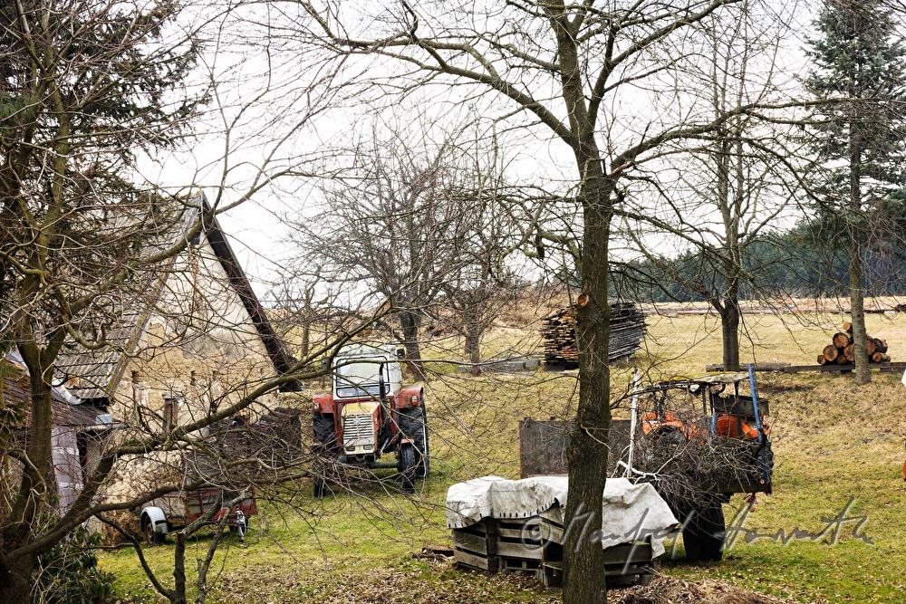 Holzlagerplatz hinter einem Bauernhof im Dorf