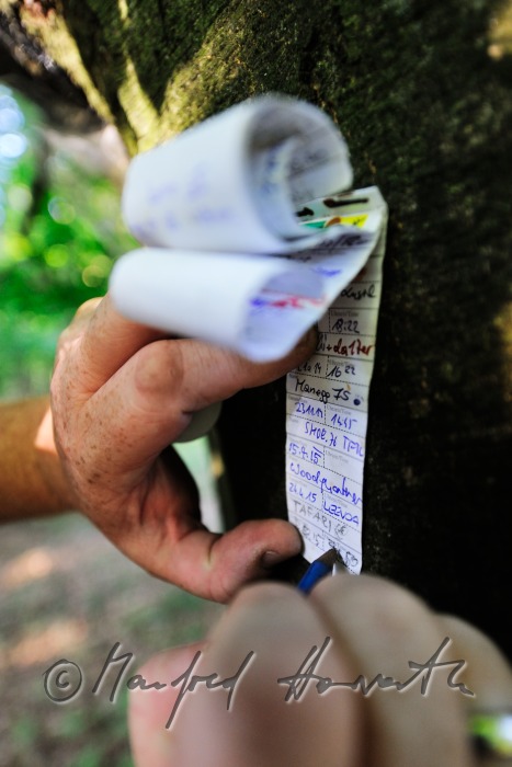 Geocacher beim Fundort des Geocaches