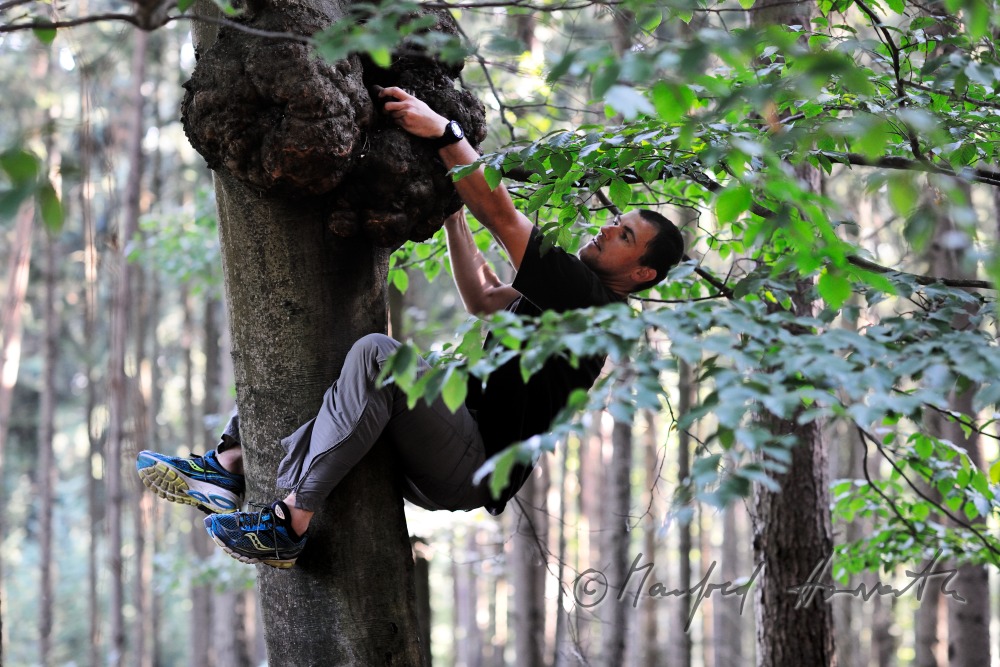 Geocacher beim Fundort des Geocaches