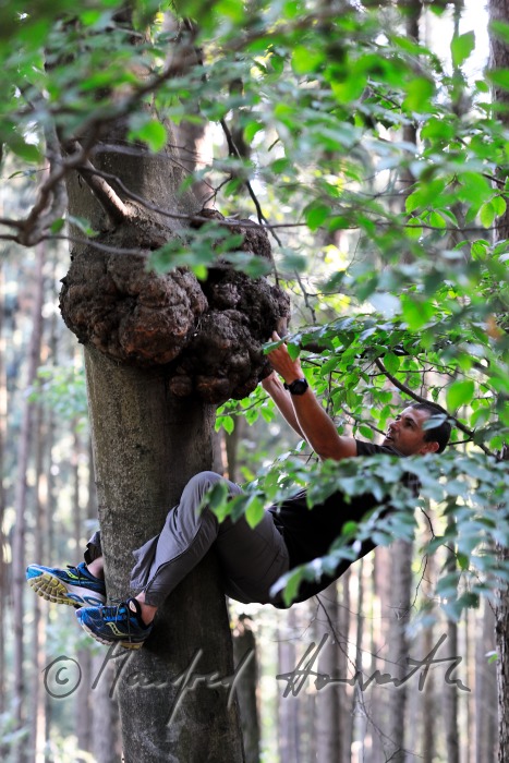 Geocacher beim Fundort des Geocaches