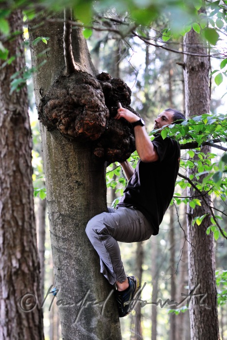 Geocacher beim Fundort des Geocaches