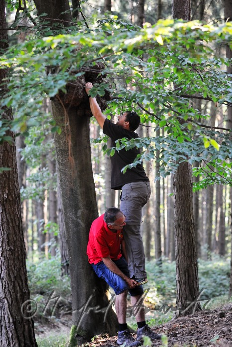 Geocacher beim Fundort des Geocaches