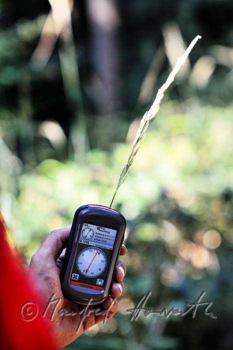 GPS-Gerät und Geocache beim Ort des Versteckes
