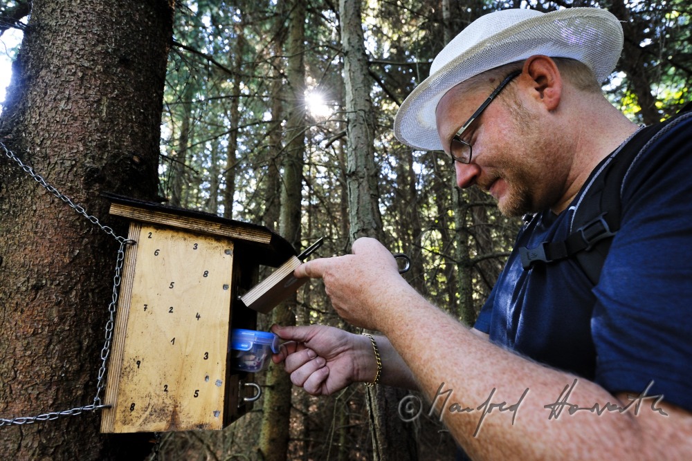 Geocacher beim Fundort des Geocaches