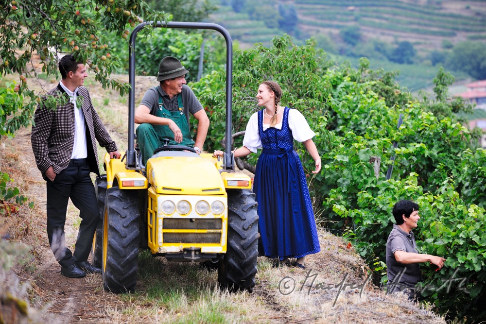 Spaziergänger in Wachauer Tracht  plaudern miti einem Weinbauern