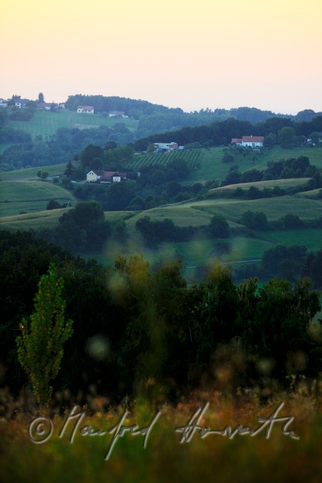 Hügellandschaft mit vereinzelten Höfen