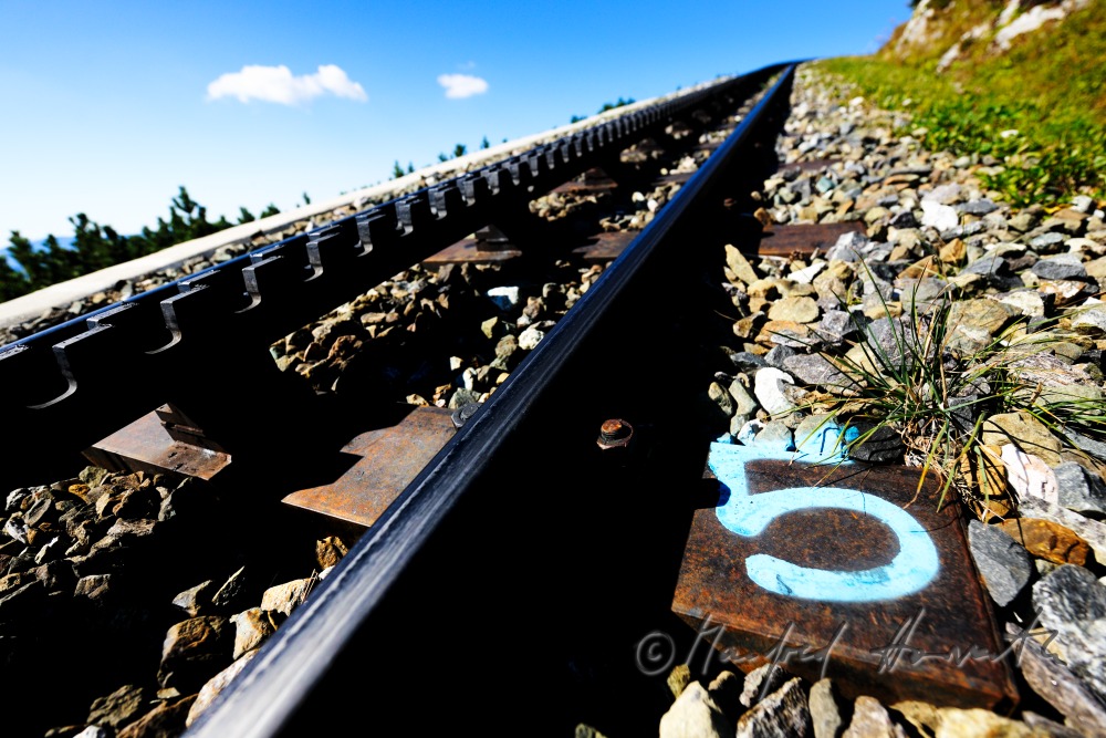 Geleise der Zahnradbahn auf dem Hochschneeberg