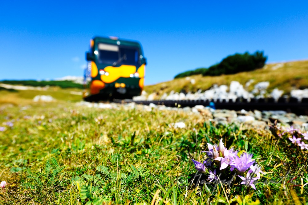 Zahnradbahn auf dem Hochschneeberg