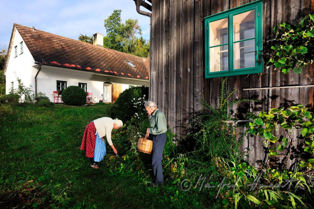 Herr und Frau Fuchs bei der Gartenarbeit