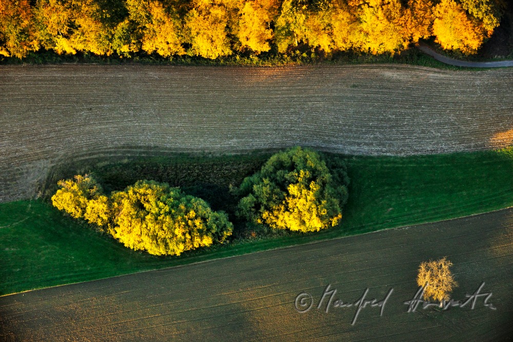 Mischwald in Herbstfarben
