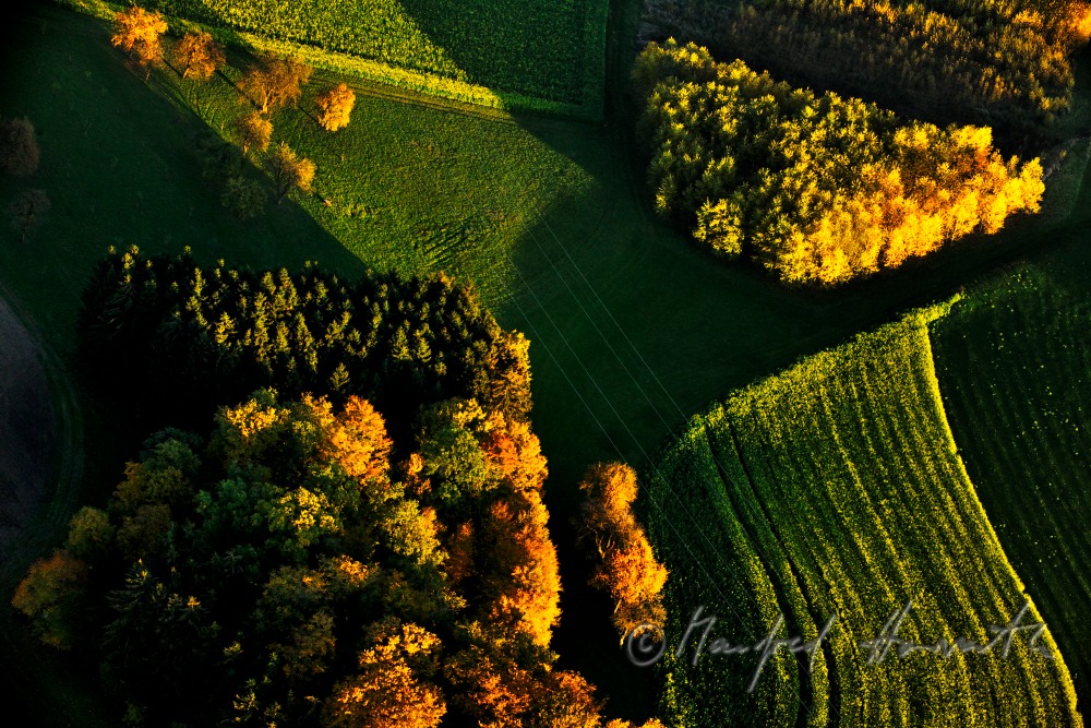 Mischwald in Herbstfarben