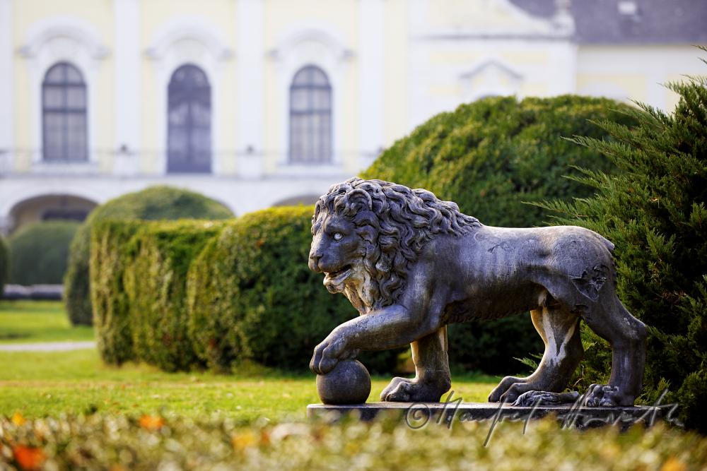 Skulptur eines Löwen und Gartenfront